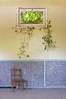 Chair and ivy window